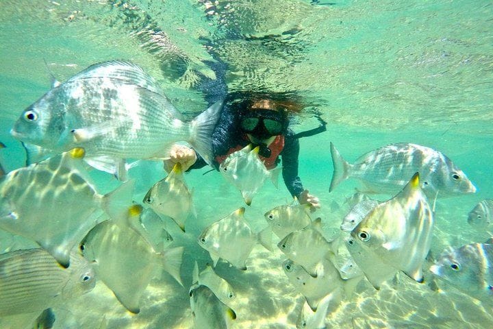 Snorkeling at Wave Break Island