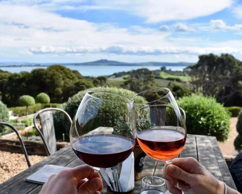 Waiheke Island Vineyard Tasting