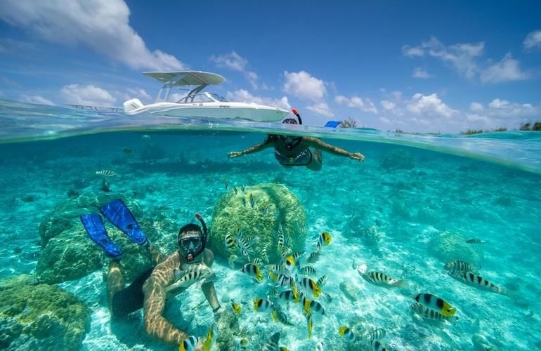 Snorkeling & Water Adventures