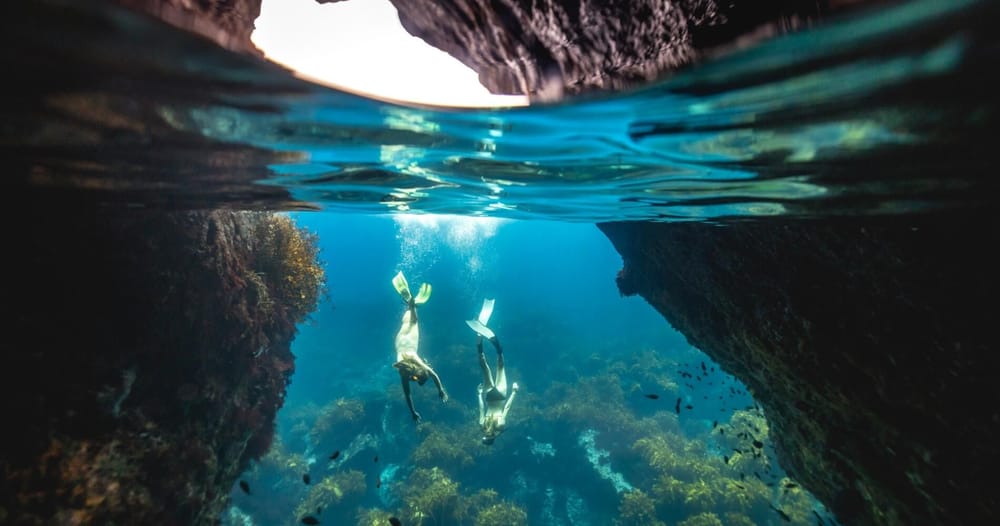 Poor Knights Islands Diving