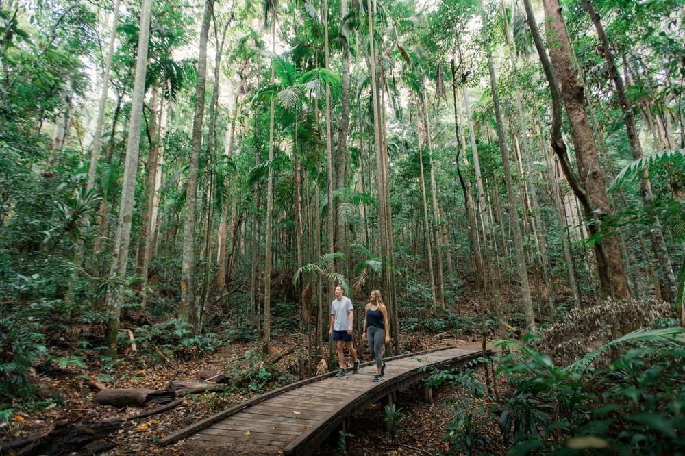 Gold Coast Hinterland Excursion
