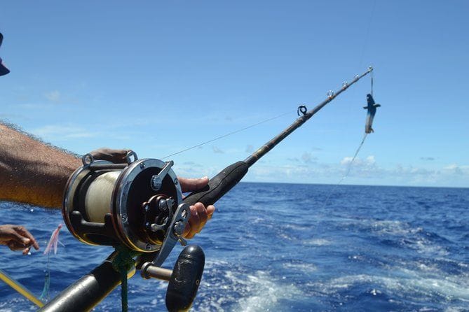 Deep-Water Fishing Charter