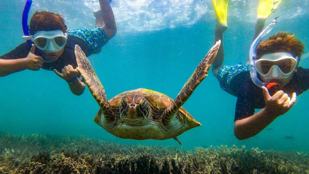 Great Keppel Reef Snorkeling