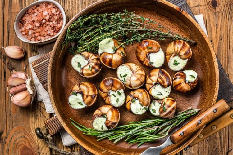 Gourmet Culinary Experiences