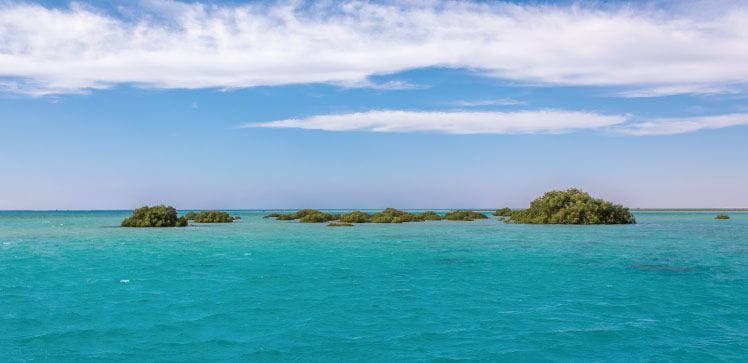 Al Wajh Lagoon
