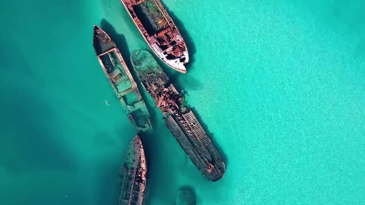 Day 2, Moreton Island & Tangalooma Wrecks