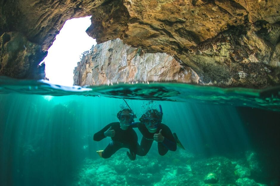 Day 5, Poor Knights Islands Marine Reserve