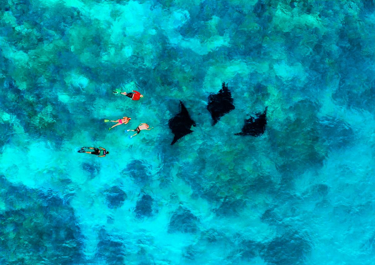 Day 6, Blue Lagoon Extended Exploration