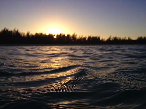 Day 3, Compass Cay and Pipe Creek
