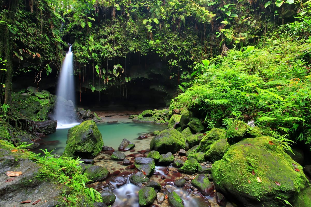 Day 9, Dominica