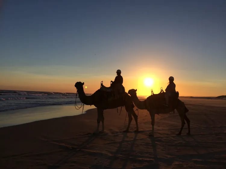 Day 6, Port Stephens