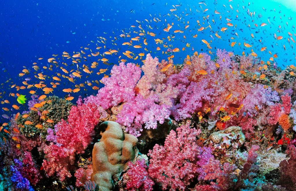 Day 10, Advanced Scuba Diving Program