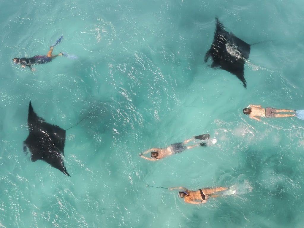 Day 6, Border Island & Snorkeling