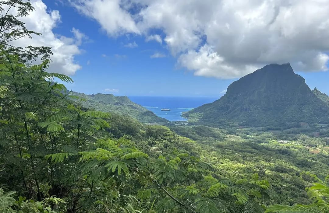 Day 2, Moorea Exploration