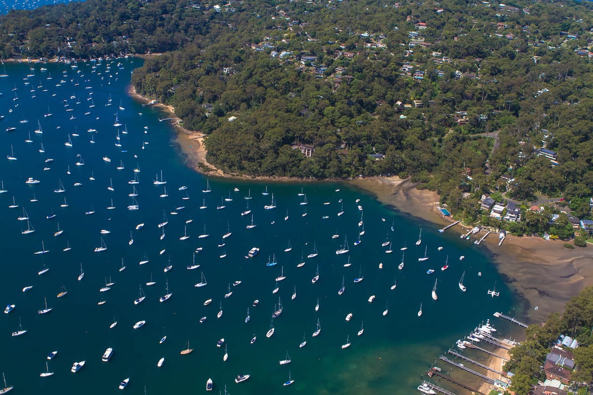Day 4, Pittwater Discovery