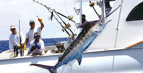 Day 3, Bimini