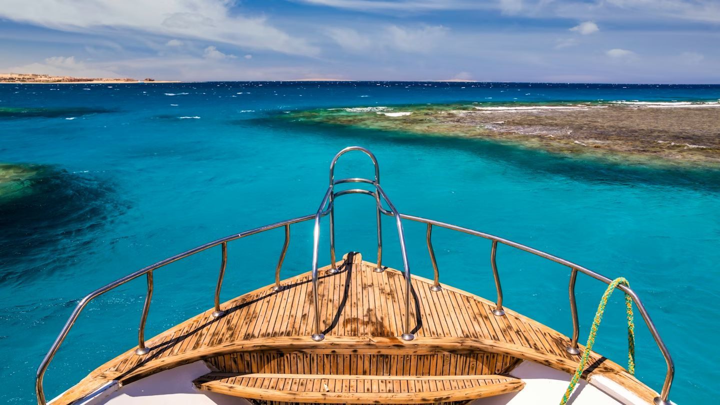 Red Sea Discovery: 7 Days of Reef & Desert - Image 1