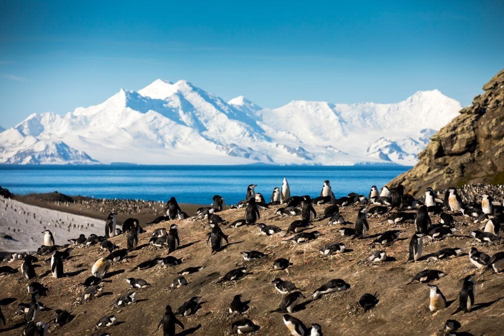South Shetland Islands