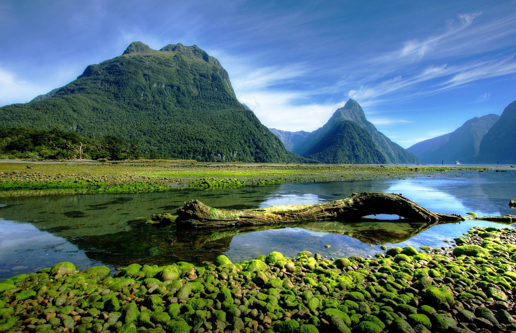 Northern New Zealand