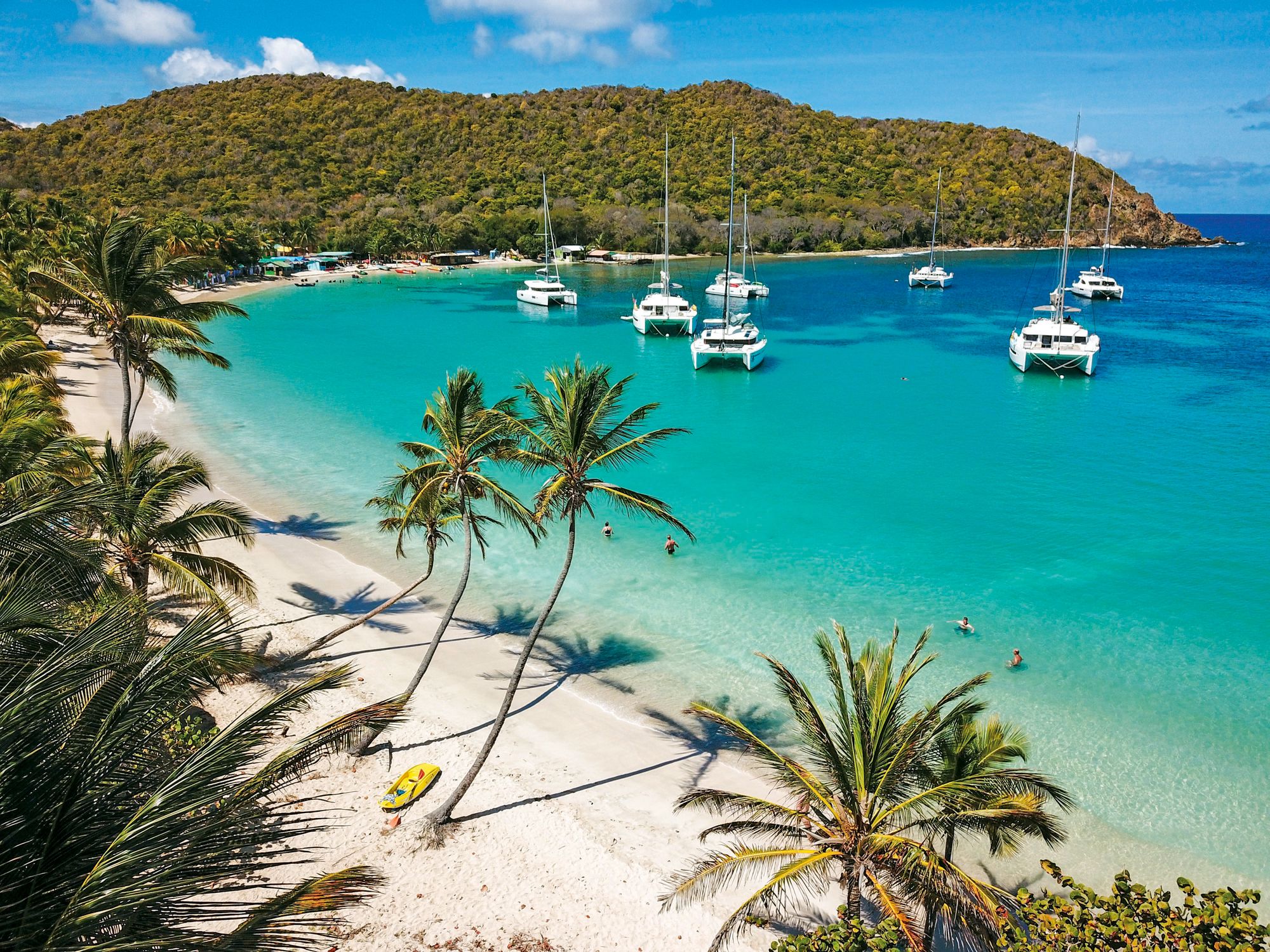 A Windward Islands anchorage with palms and yachts