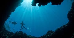Dive the blue holes