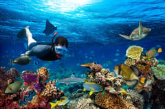 Atlantis aquariums and water park