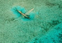 The Norman’s Cay plane
