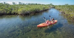 Kayak the Lucayan mangroves