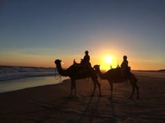 Stockton Bight sand dunes