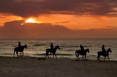 Horseback at sunset