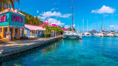 The Virgin Islands, British and US