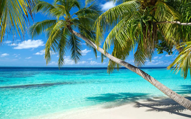 Turquoise water and a white sand beach in the Caribbean