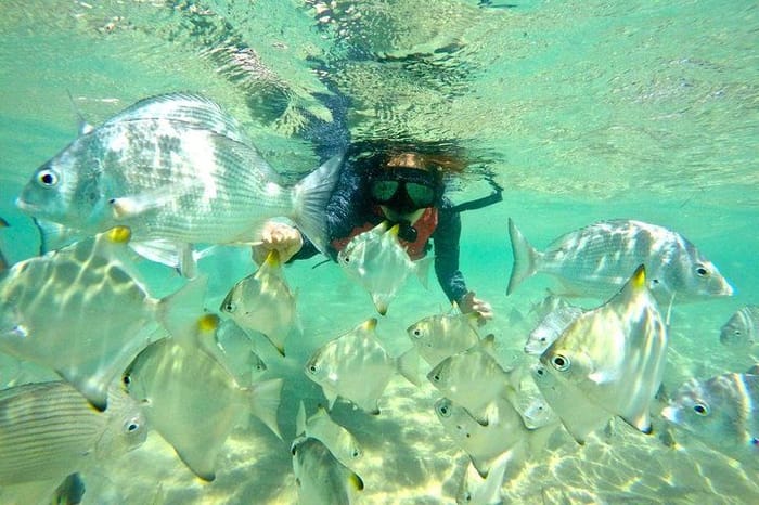 Snorkeling at Wave Break Island