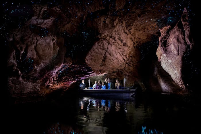 Tender Shore Excursions