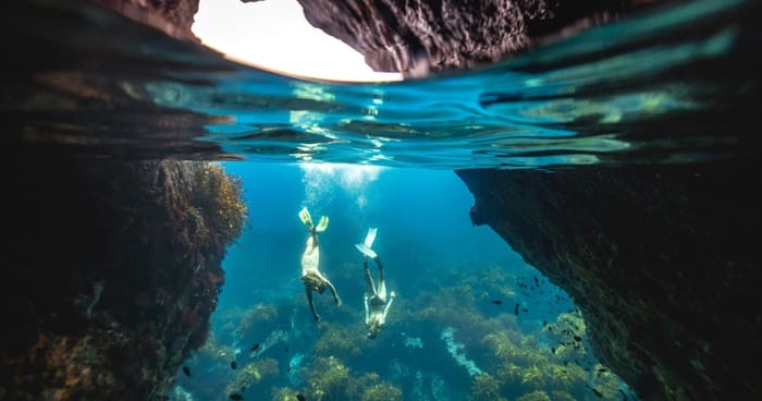 Poor Knights Islands Diving