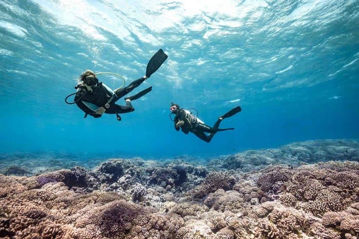 Premium Scuba Diving Program