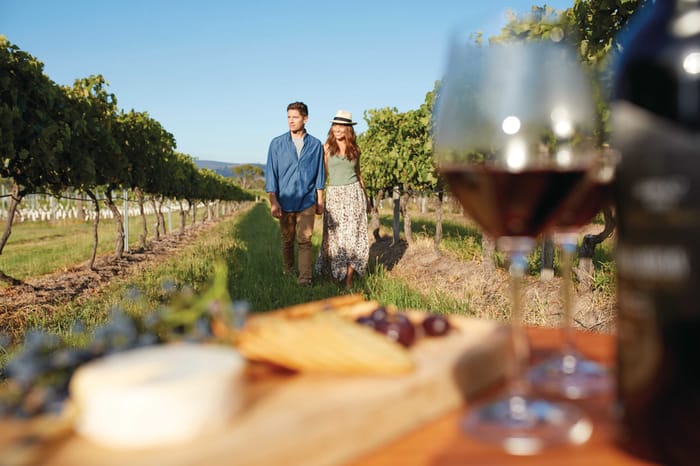 Mount Tamborine Wine Tasting