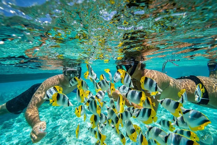 World-Class Snorkeling & Marine Exploration