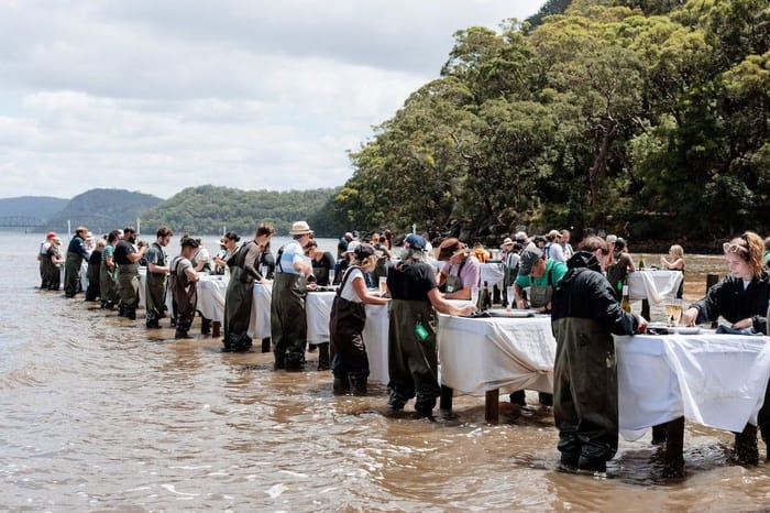 Oyster Farm & Local Cuisine