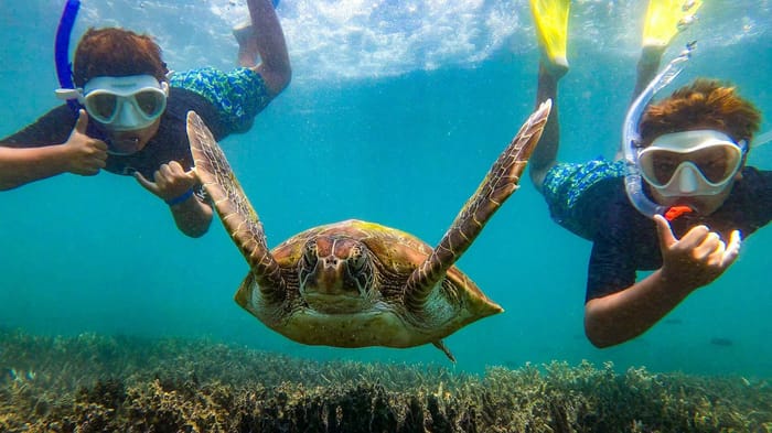 Great Keppel Reef Snorkeling