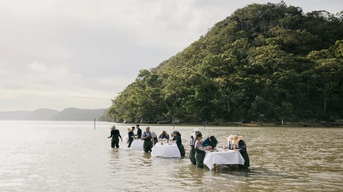 Oyster Farm Experience