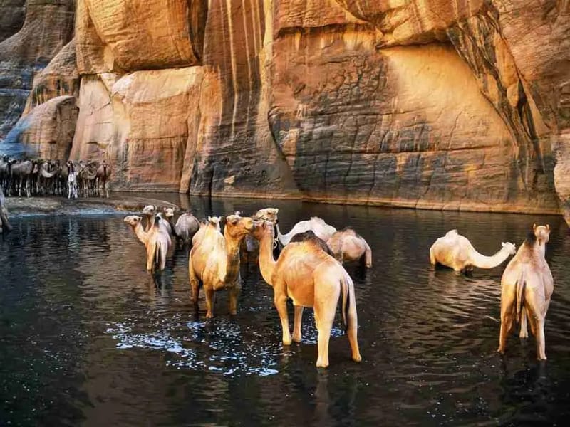Wadi el Gemal National Park