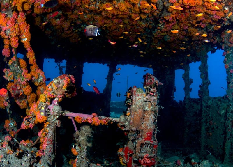 Victory Shipwreck