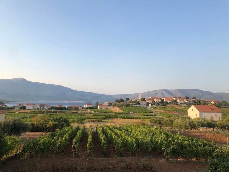 Korčula Wine Trail