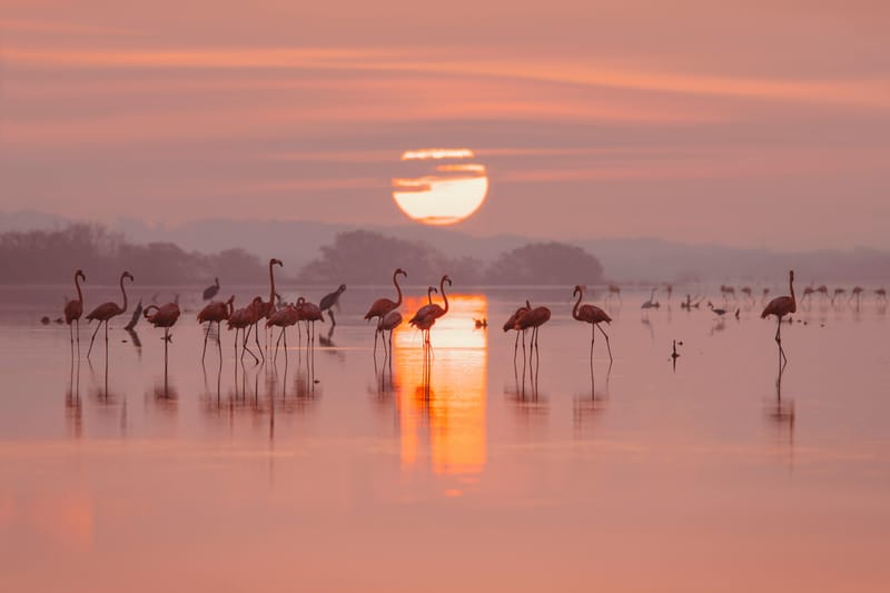 S'Albufera des Grau Sunset