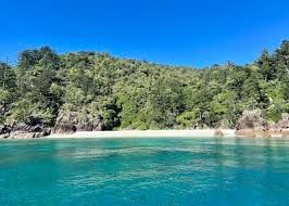 An empty beach in the Whitsundays