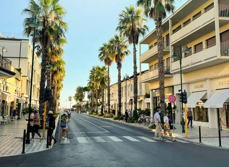 Designer Shopping Circuit