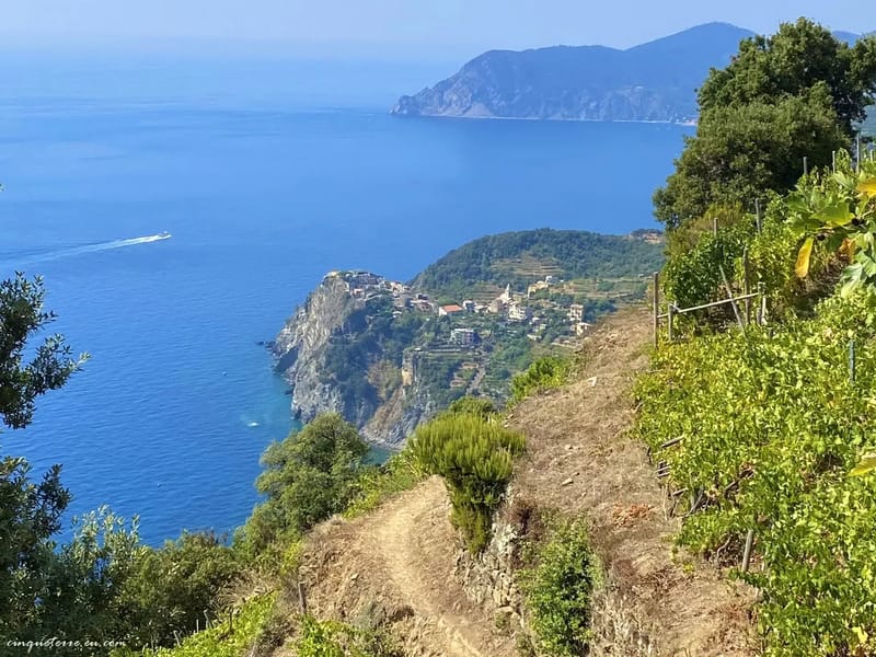 Sentiero Azzurro Trail