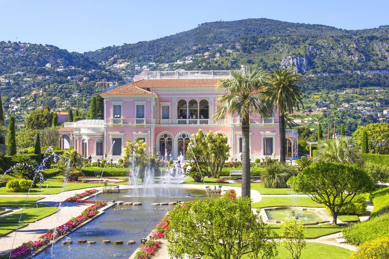 Museums and Culture