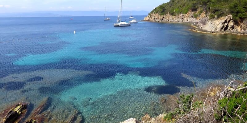 Porquerolles island's pine-backed beach